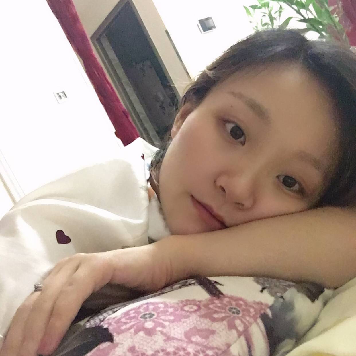 执着有丝袜的照片