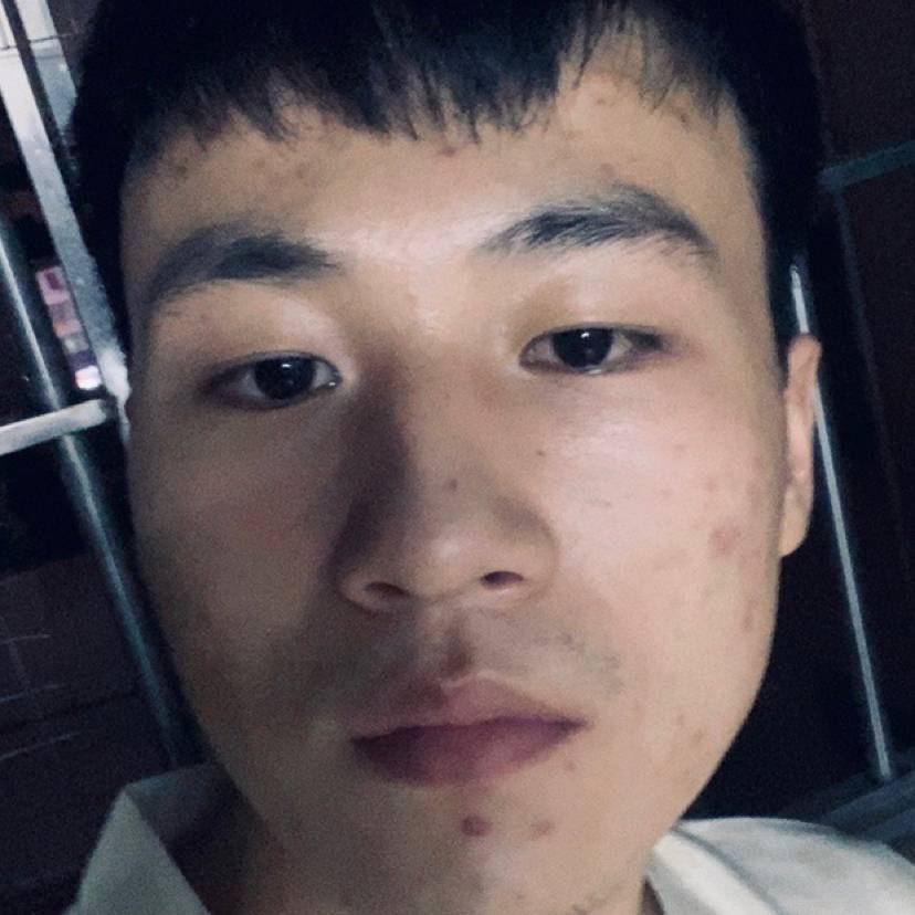超级保卫狗的照片