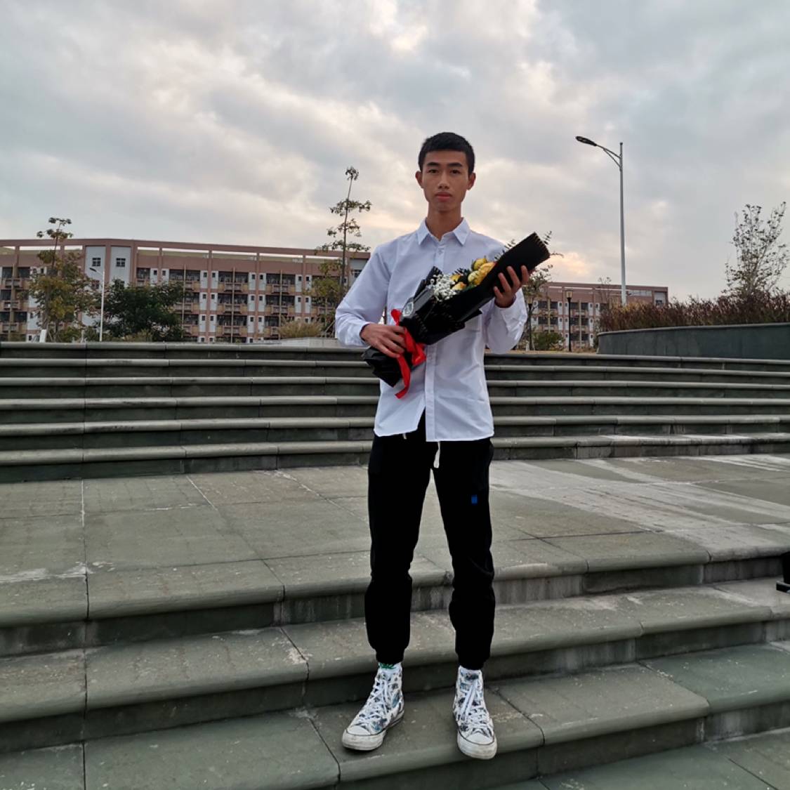 菠萝的照片