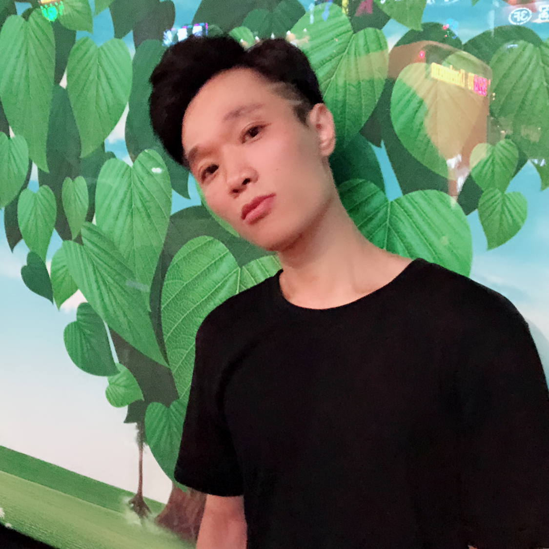 小天鹅請旧时光的照片