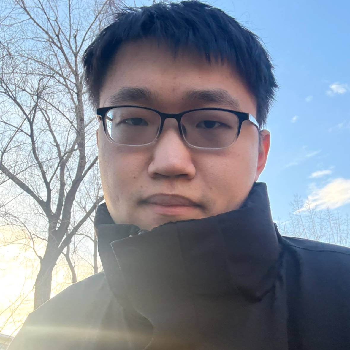 干净de龙猫照片