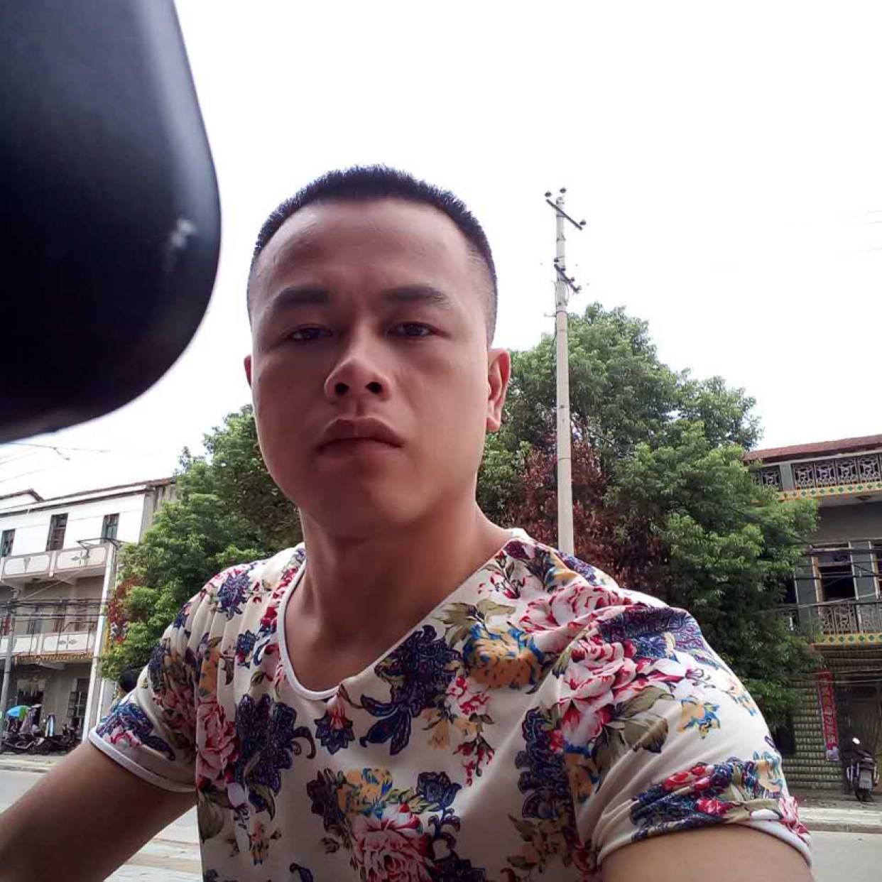 平常回眸森槿的照片