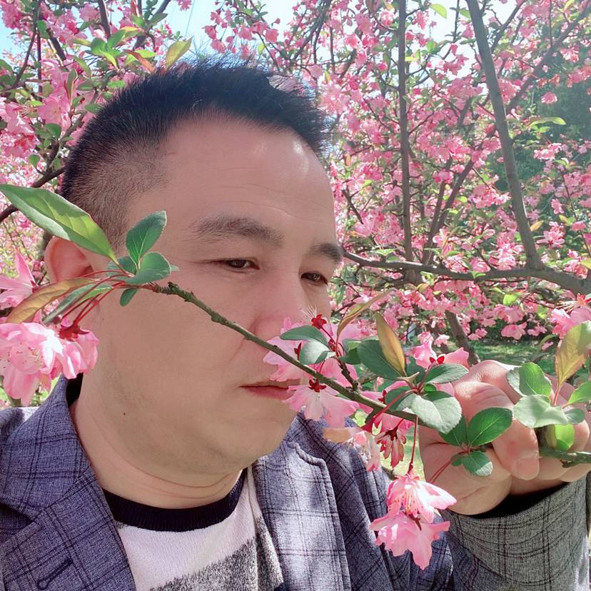 凉城幸福的照片