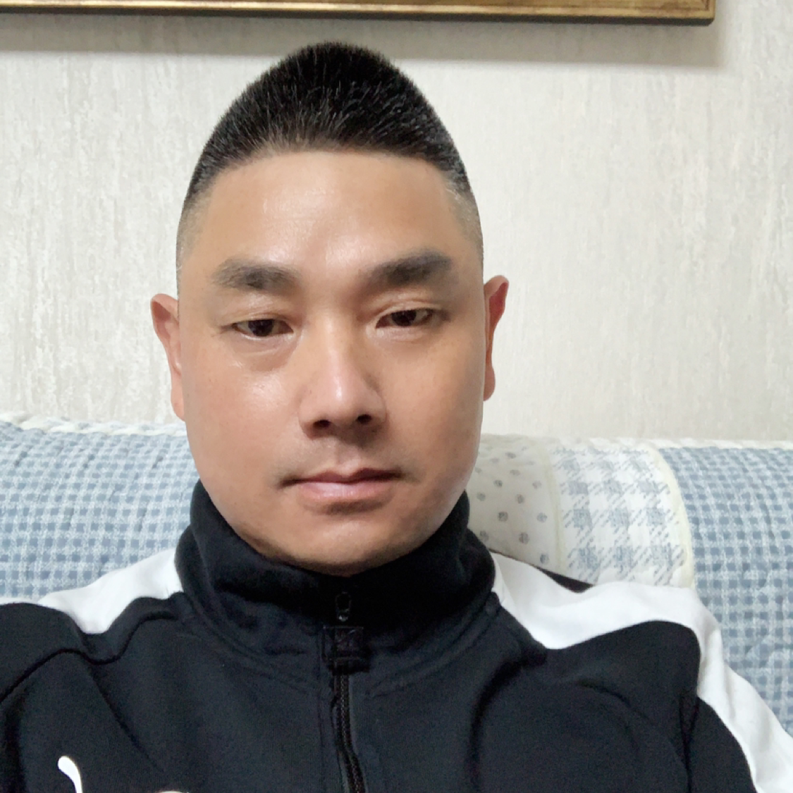 泓森槐的照片