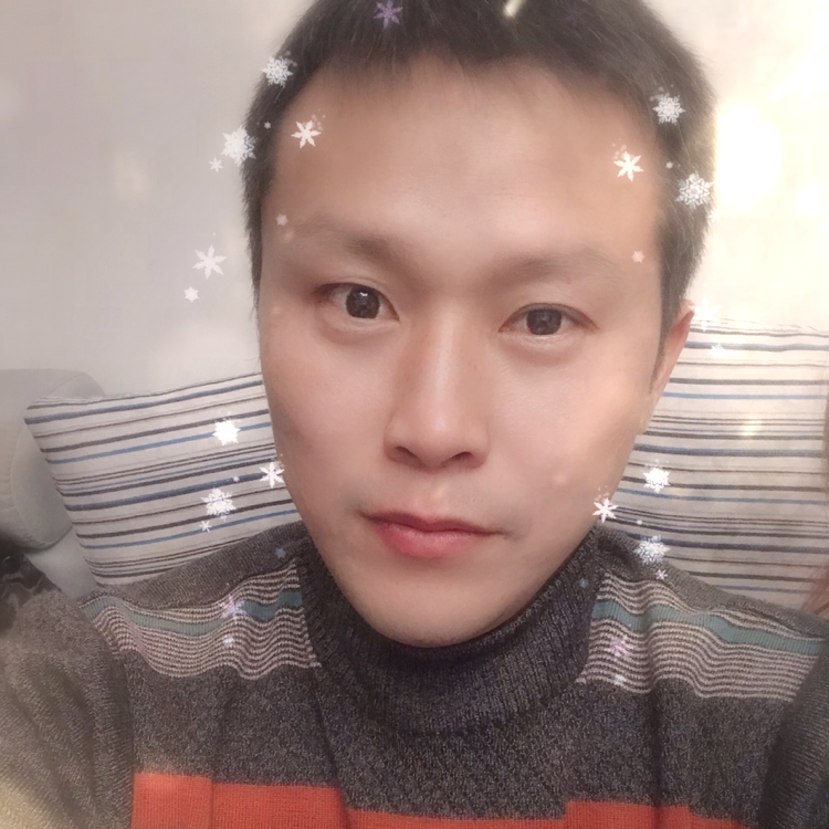 大树迎明理的照片
