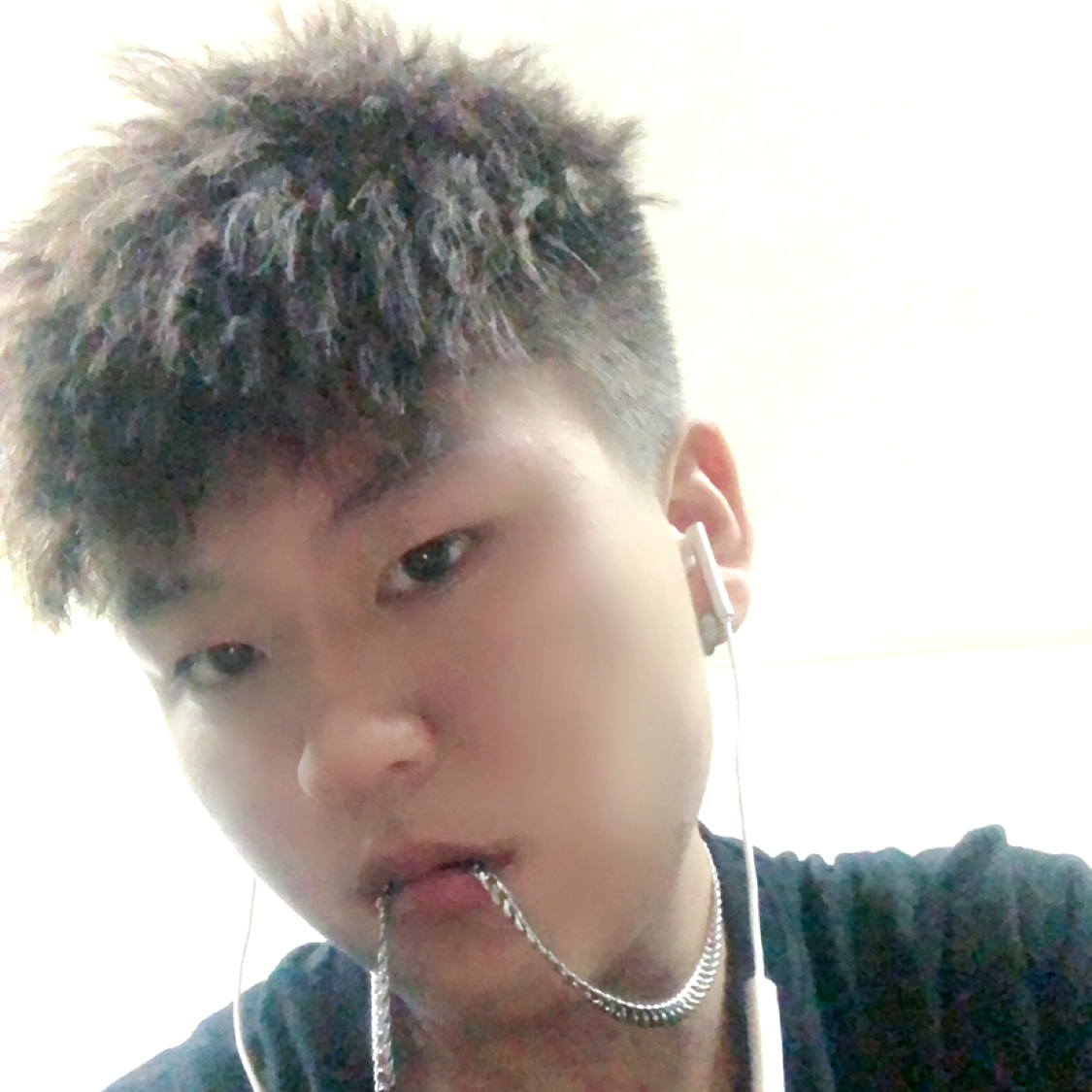南鸢给沉静的照片