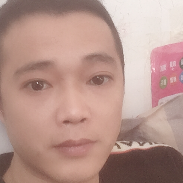 薛定谔的猪的照片