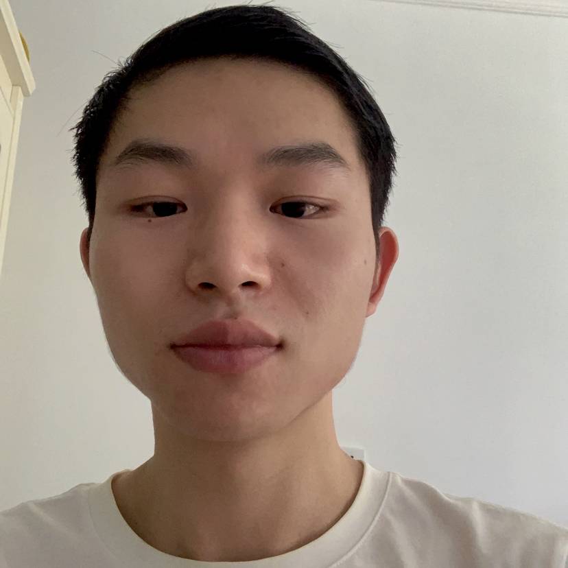 飞翔的小绵羊的照片
