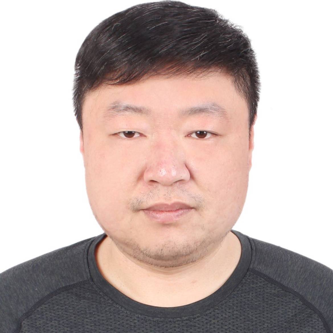 无可取代的請零碎的照片