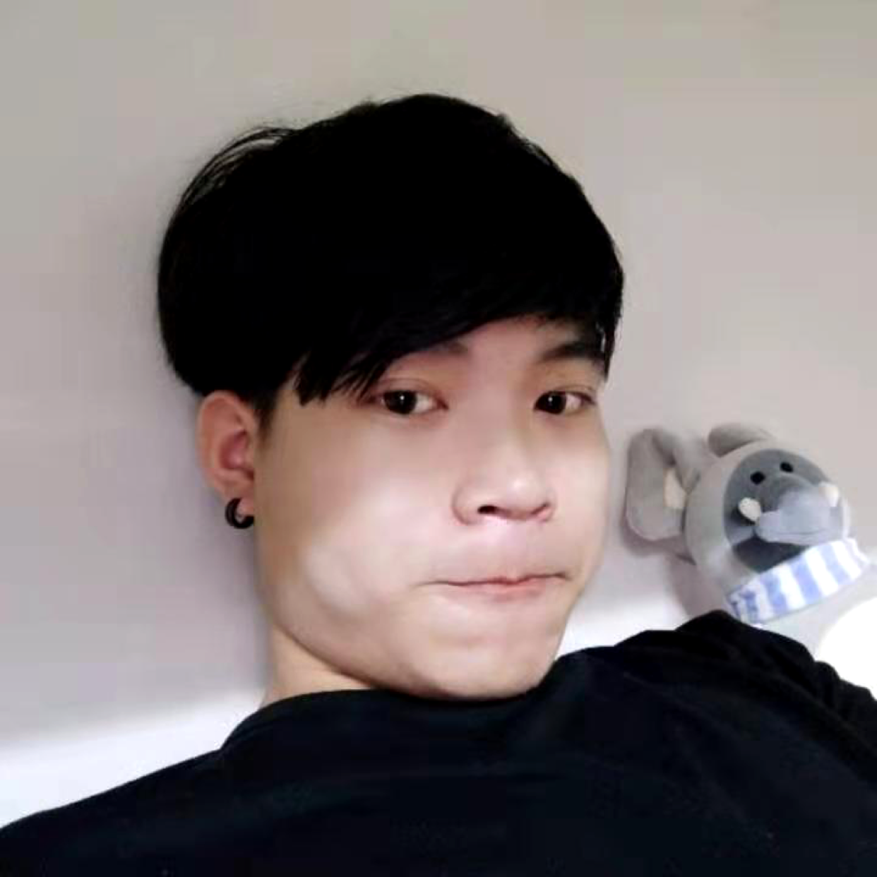谨慎和刺猬的照片