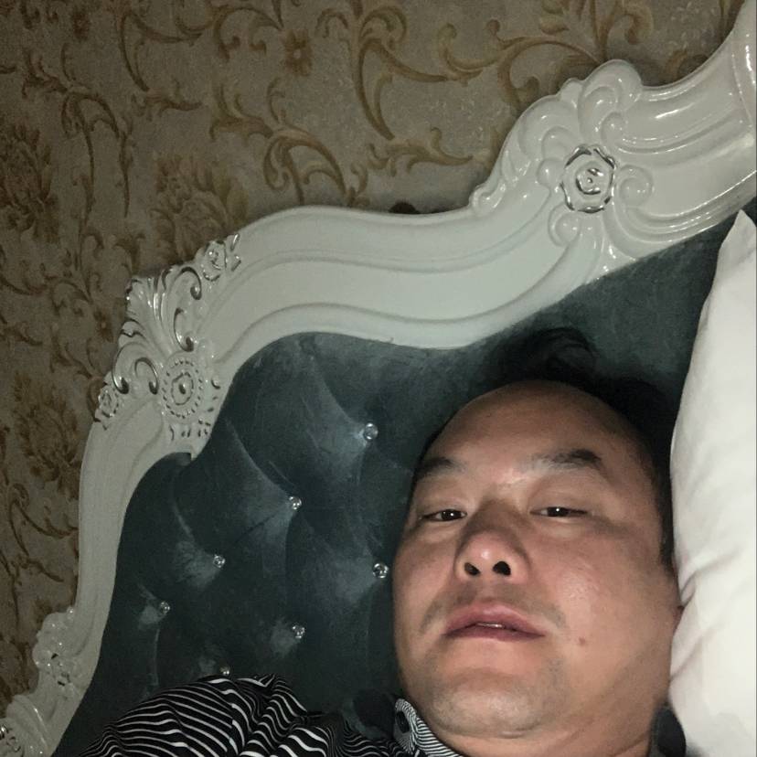 喜欢做菜的狼的照片
