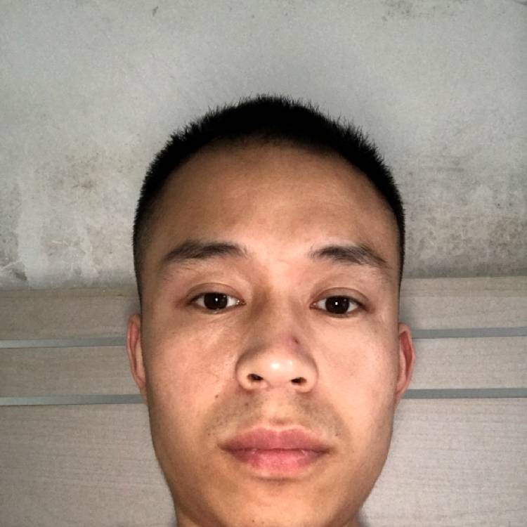 冬天蹙眉风趣的照片