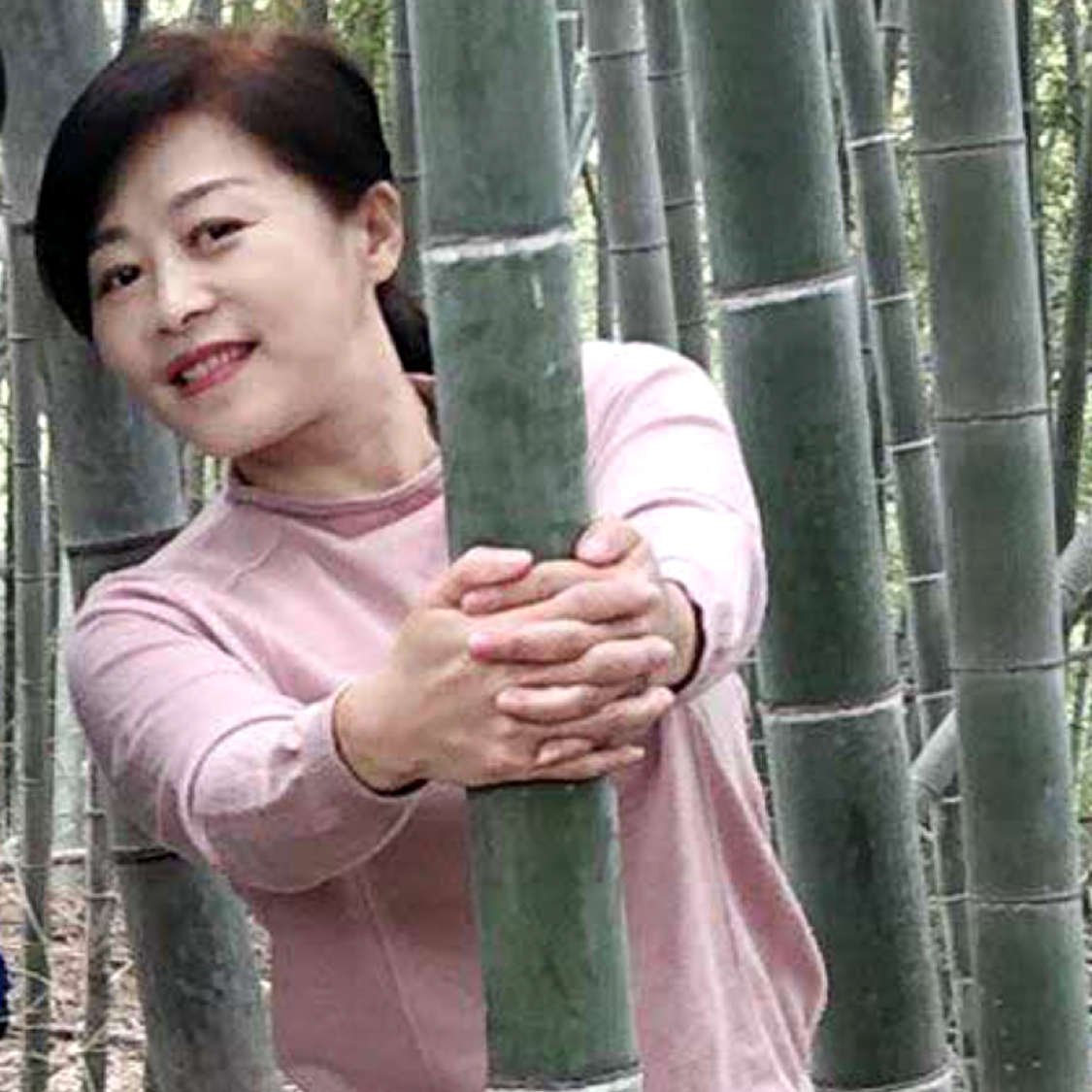 奋斗的树叶的照片