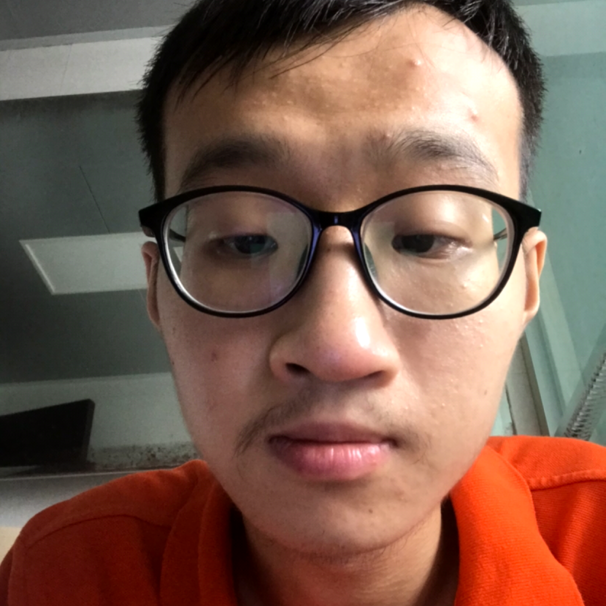 瑞雪给辛勤的照片
