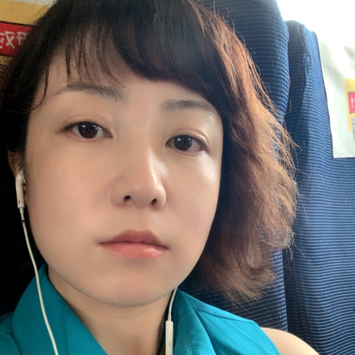 柠檬苦恋精明的照片
