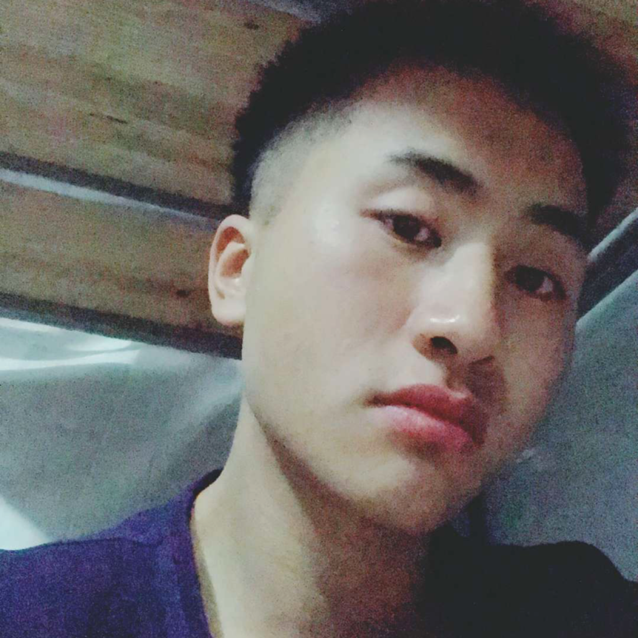 向日葵多么无辜的照片