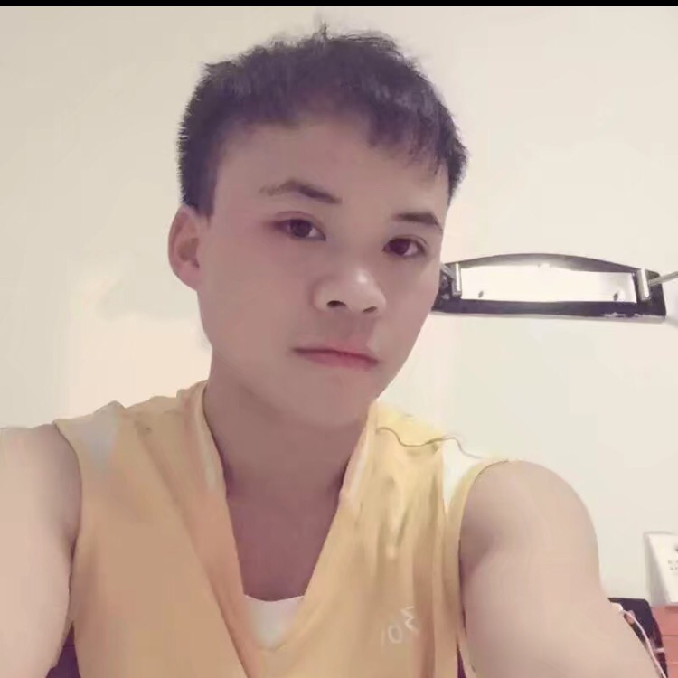 犀牛保卫端庄的照片