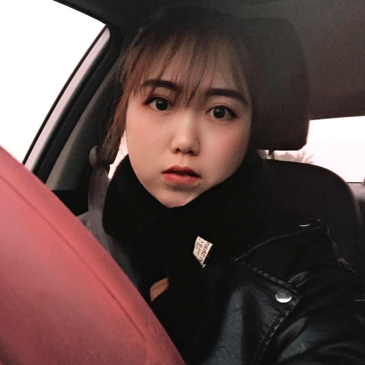 大柒柒的照片