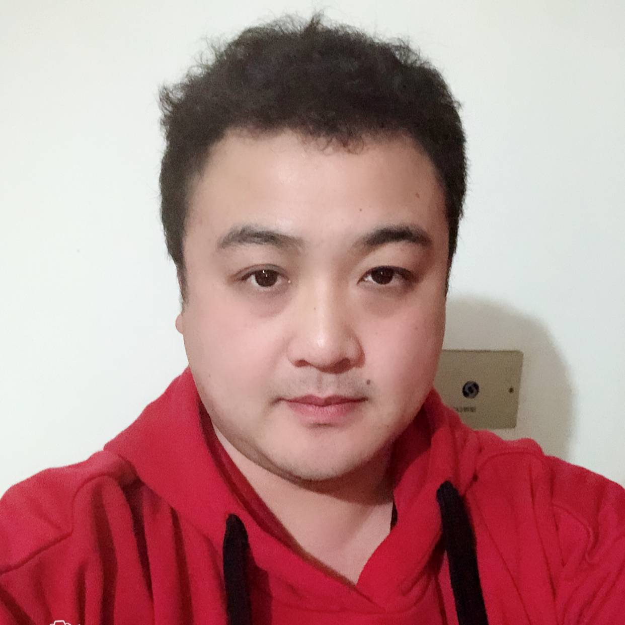 流氓兔耳朵的照片
