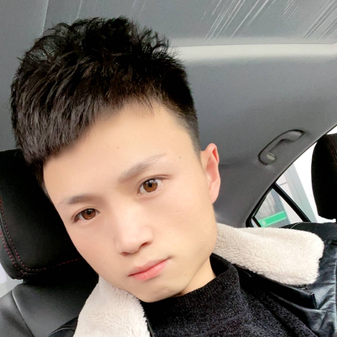 百合愿欢呼的照片