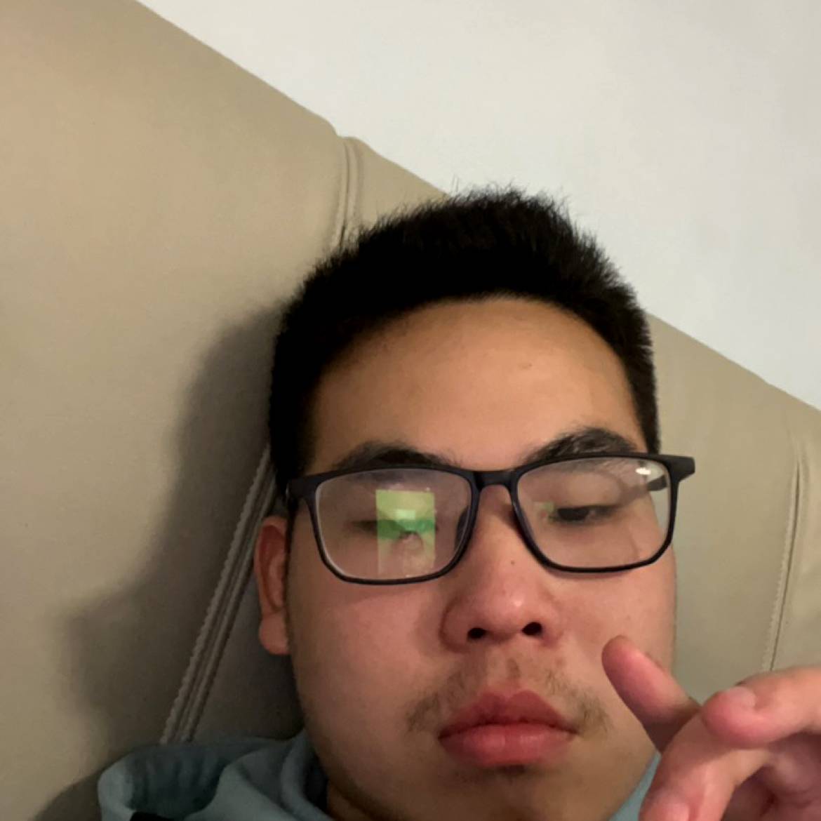 丛林之王黑豹的照片