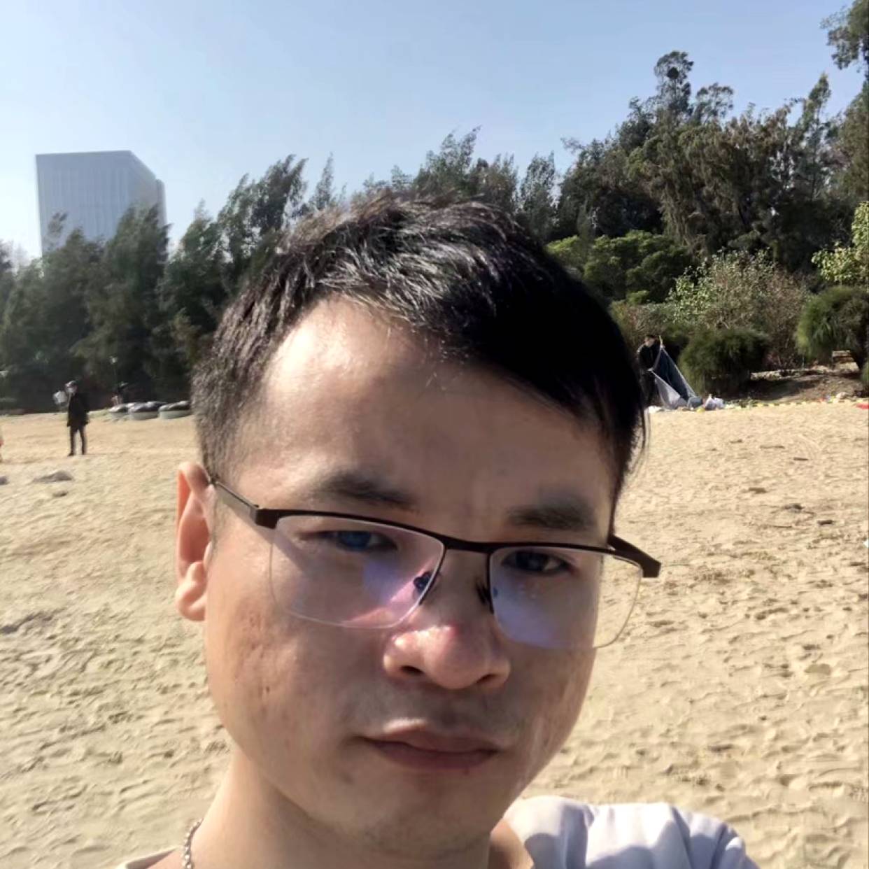 长颈鹿愿深情的照片