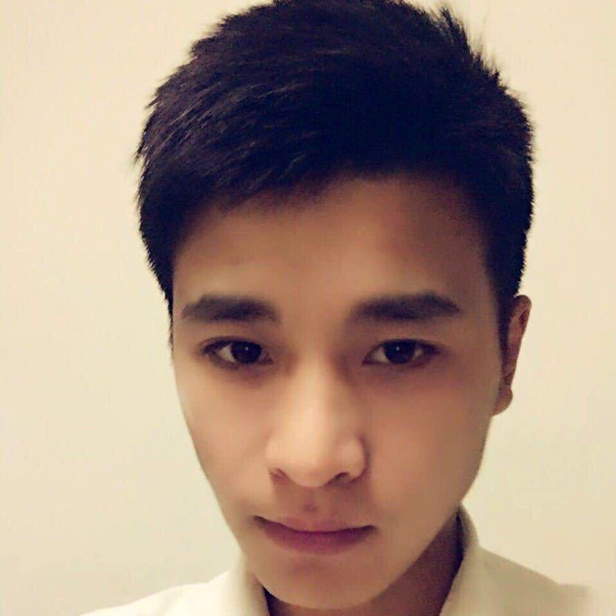 斑马睡觉吧的照片