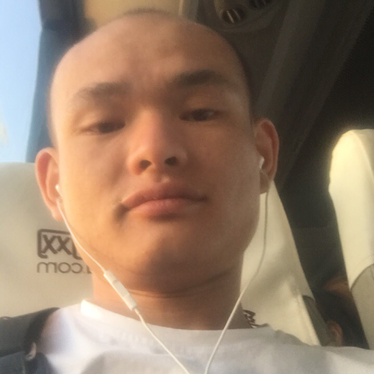 唐朝的菠萝的照片