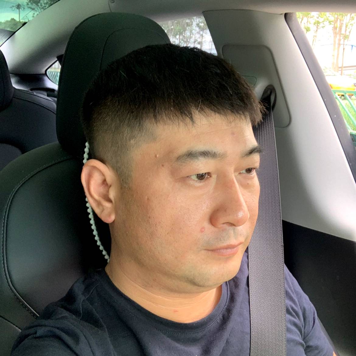 忧郁狮子王的照片