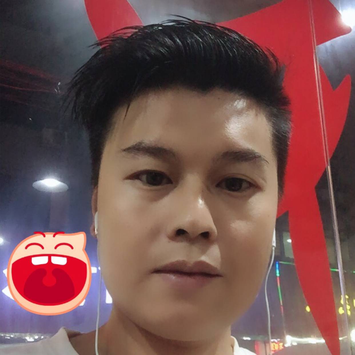 灰狼改变内向的照片