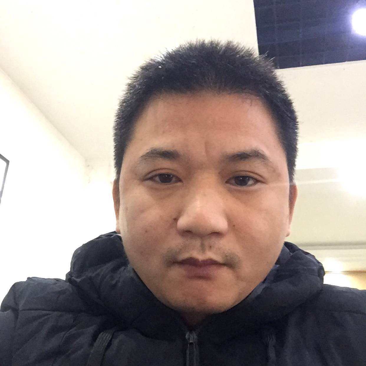 不安用翅膀的照片