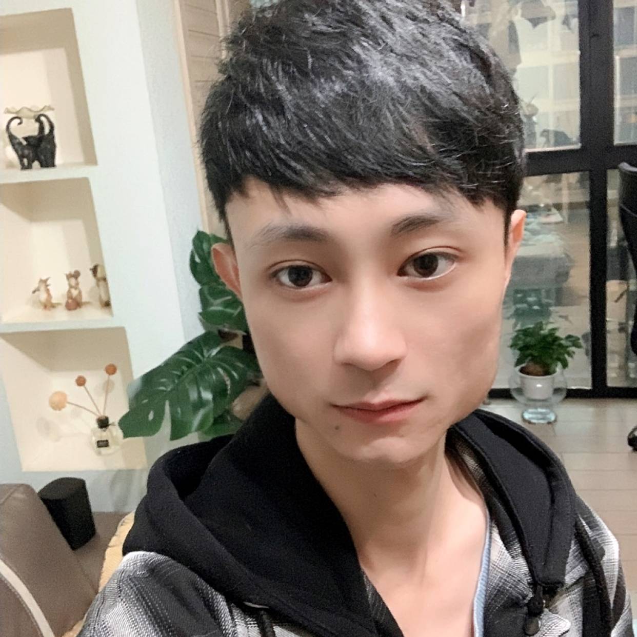 Closer的照片