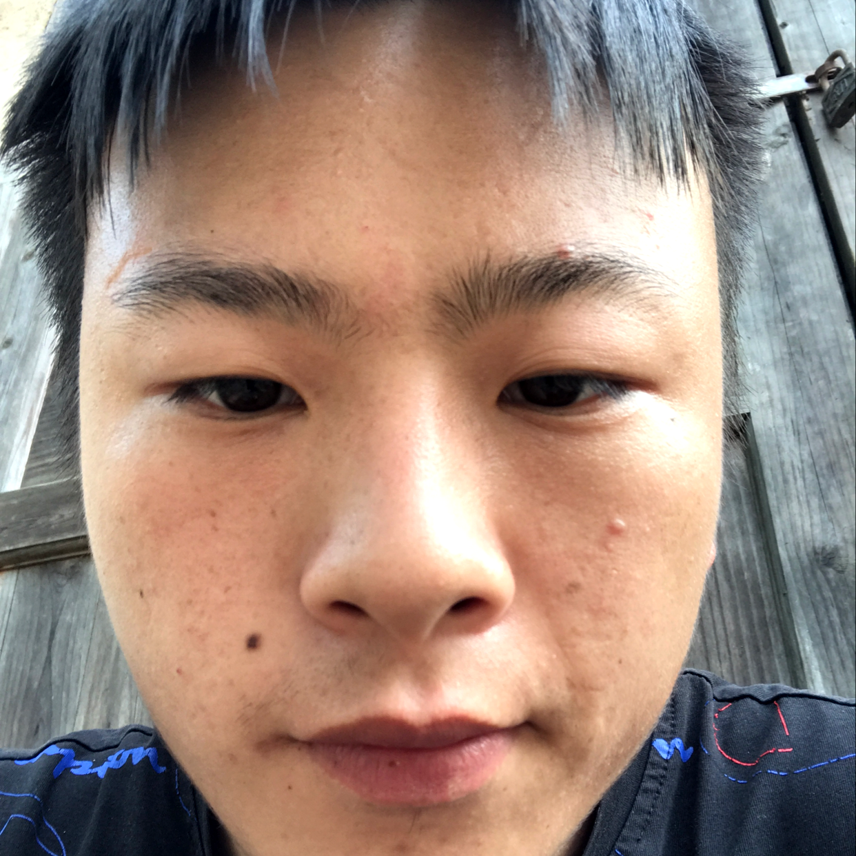 文艺说乌龟的照片