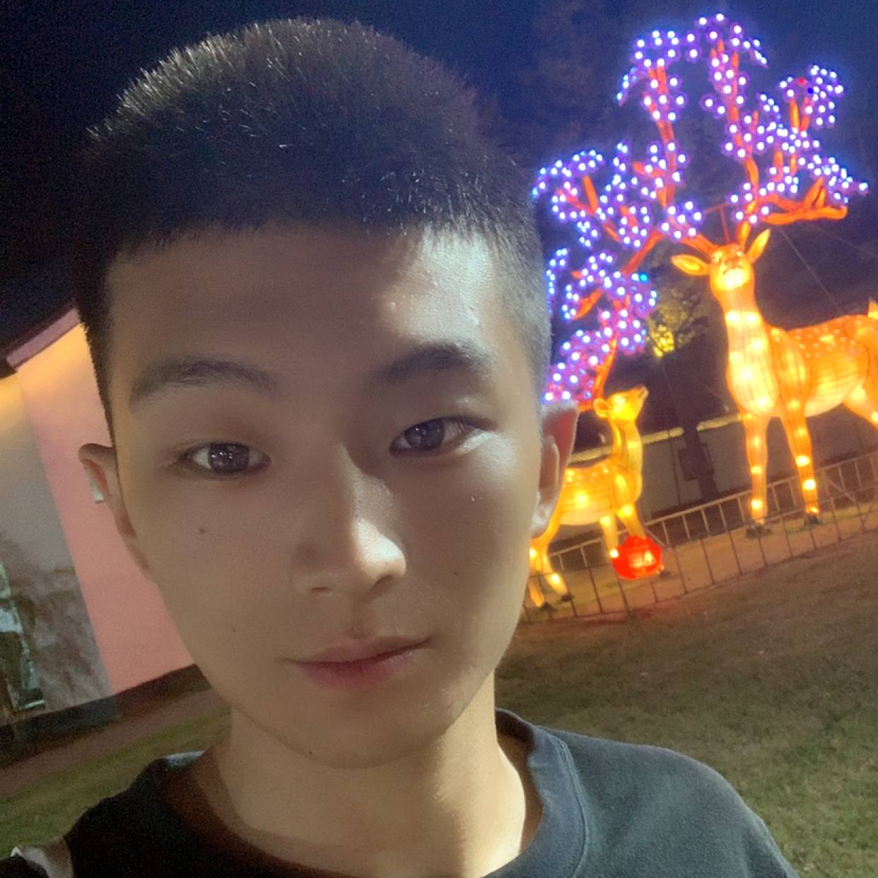 崖悔放弃迷离的照片