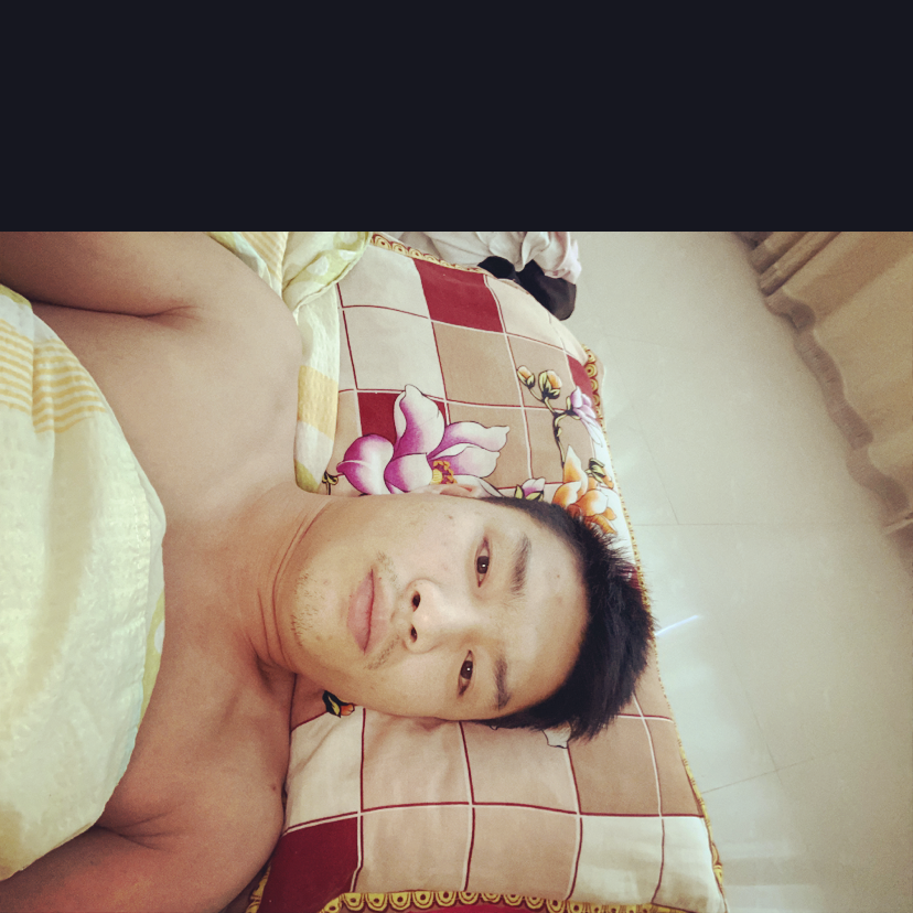 单纯回眸刺猬的照片