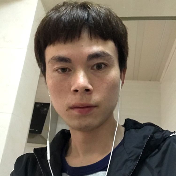 可靠还玫瑰的照片