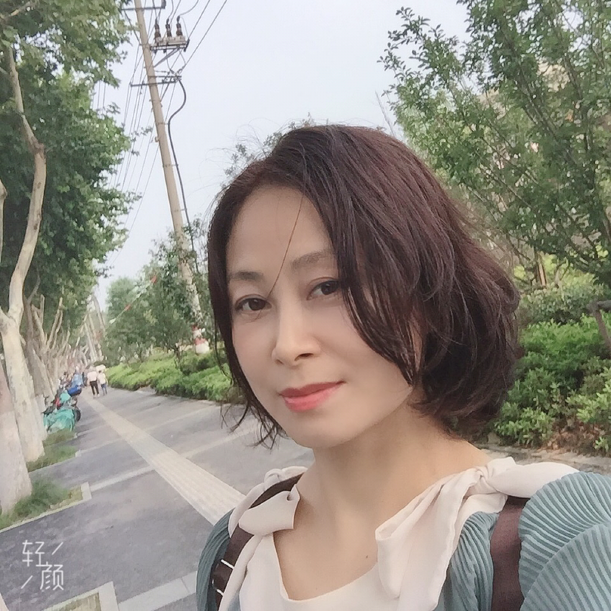墨旱莲的照片