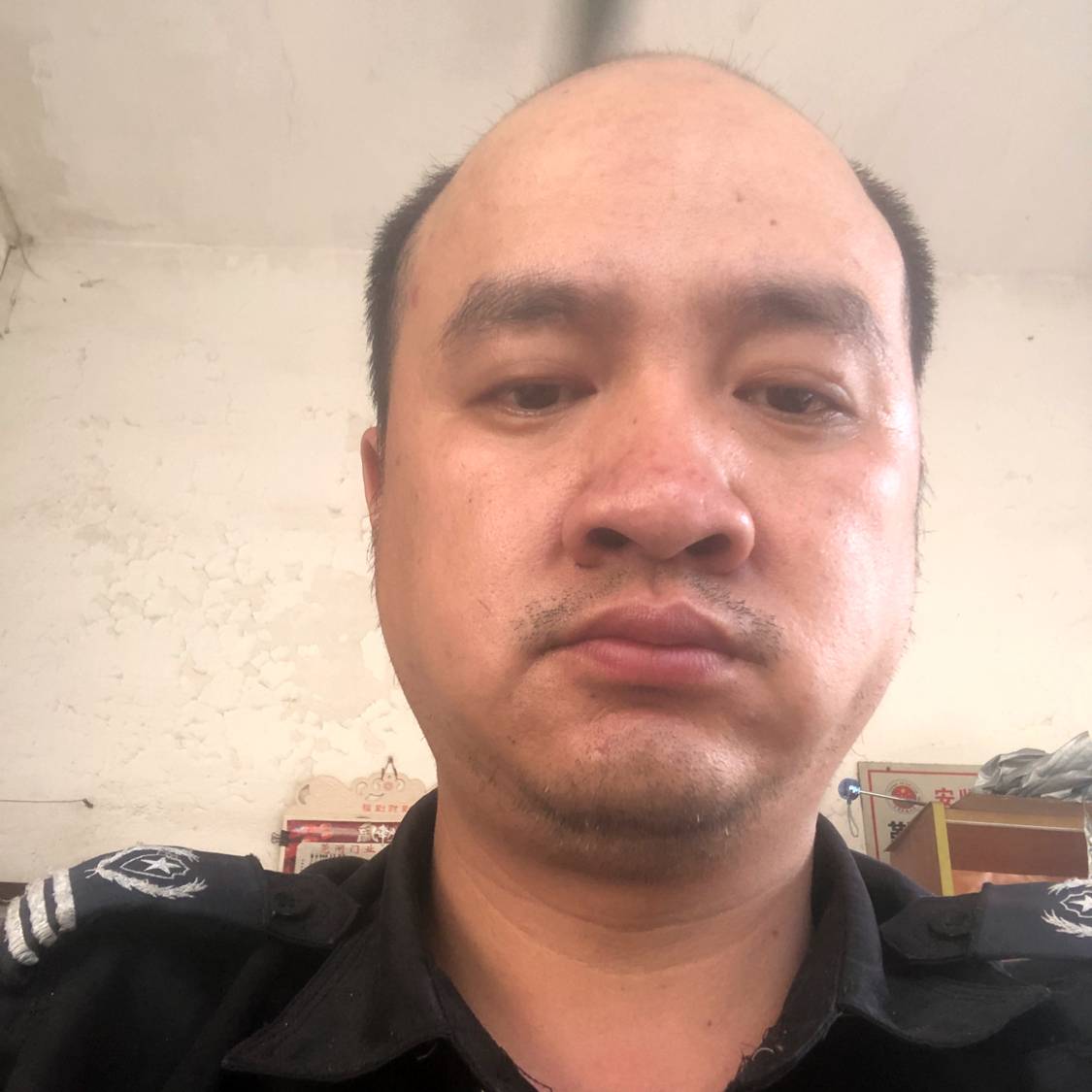 舒荷演变俏皮的照片