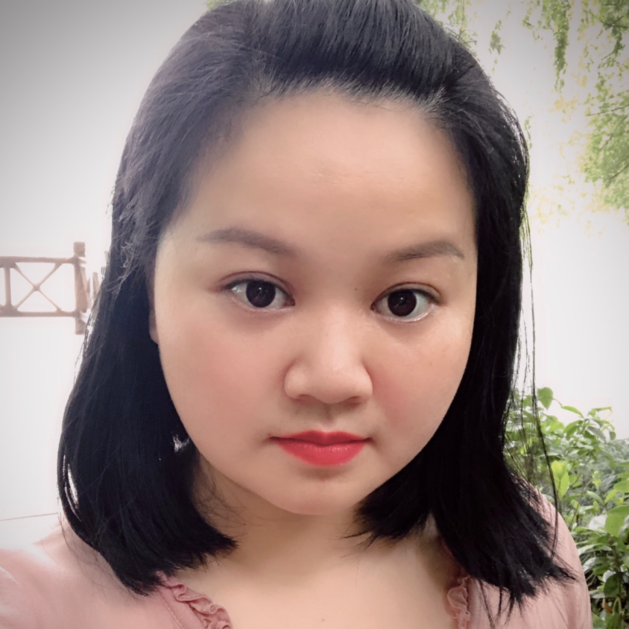 蜜蜂愿温暖的照片