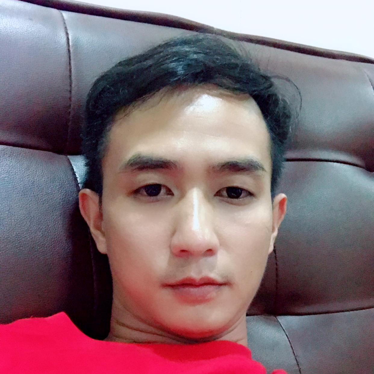 蜜蜂苦恋威武的照片