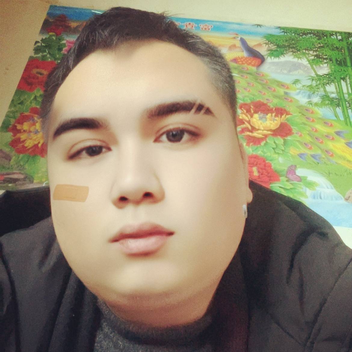 蝶舞拾忆欢呼的照片