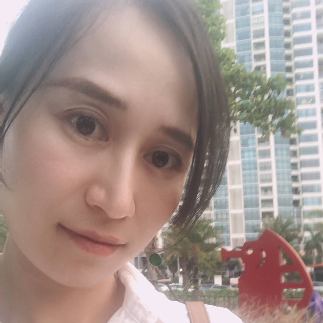 一只慵懒的猫的照片