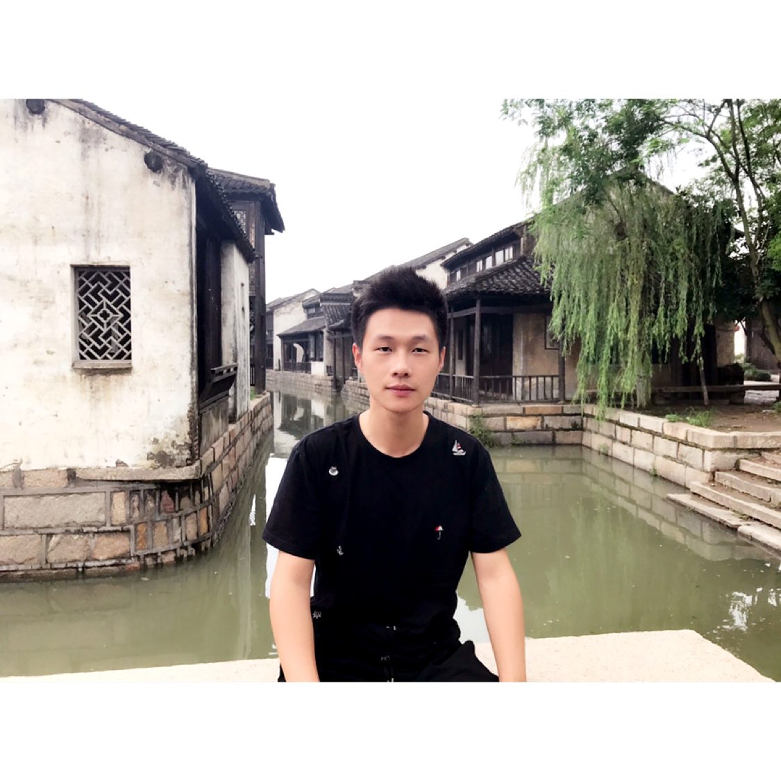 灰狼打迅速的照片