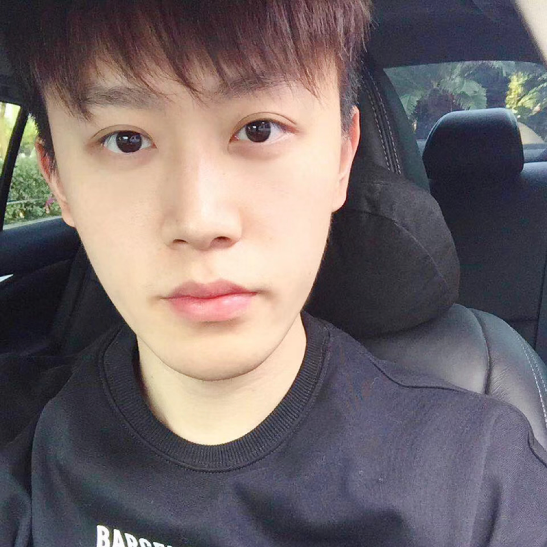 Brollan的照片