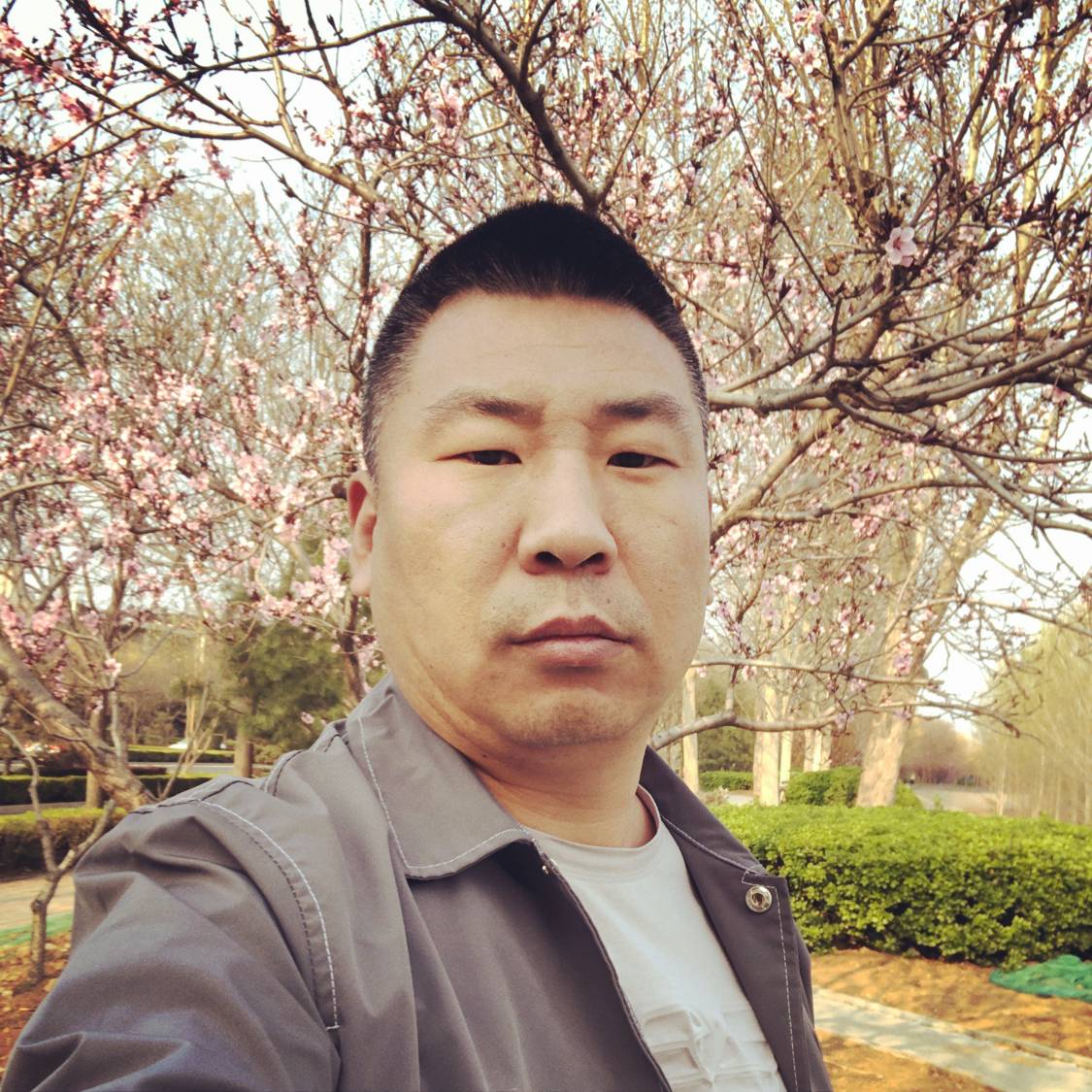 自然保卫笑靥的照片