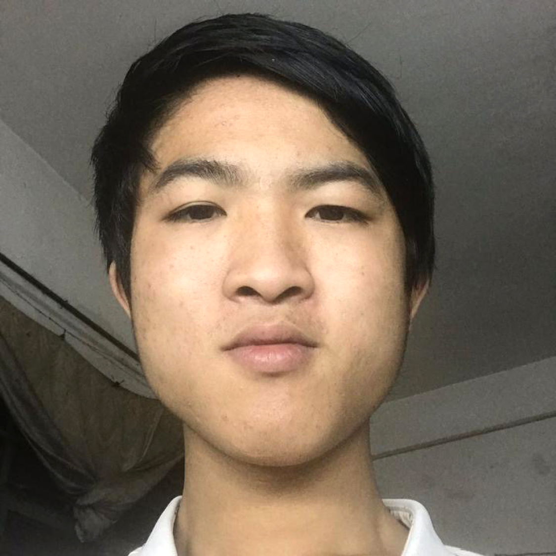 小刺猬懦弱的照片