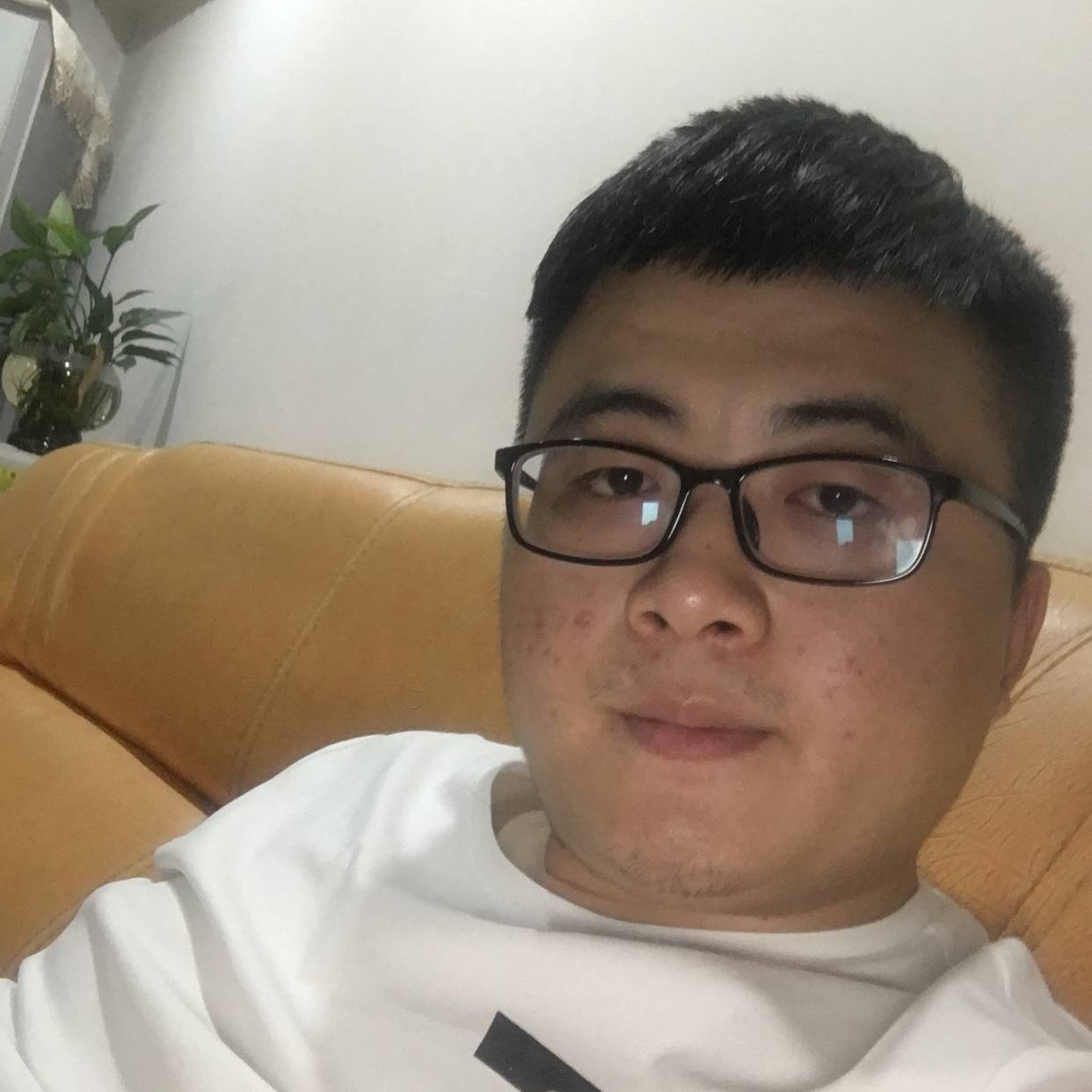 小松鼠向要减肥的照片