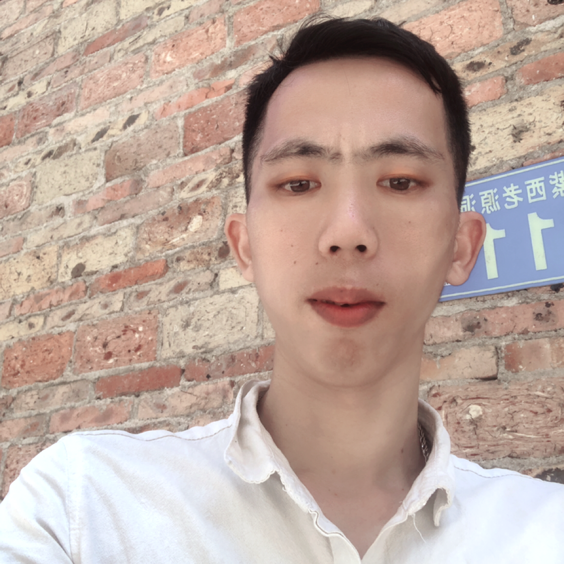 后来浅吻芹菜的照片