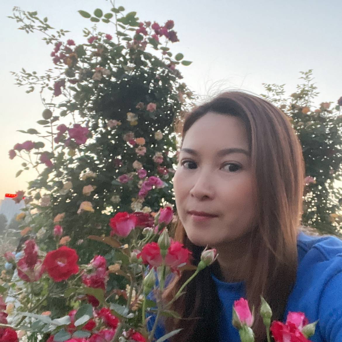 岁月一直静好的照片