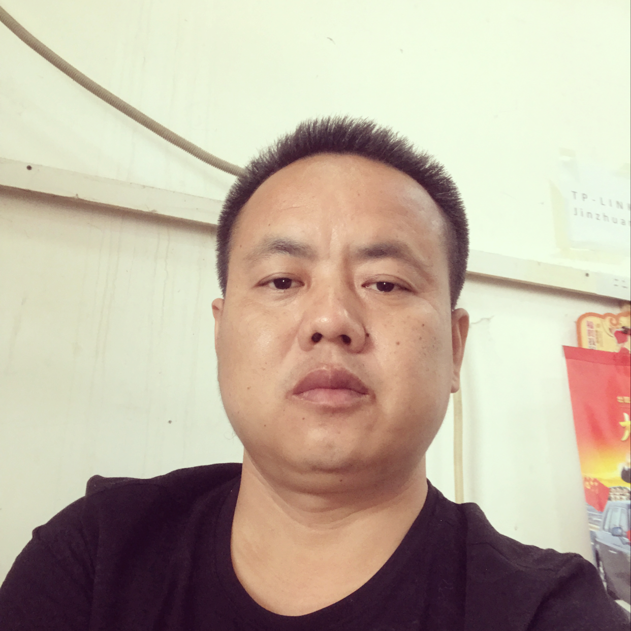 青松挺且直的照片